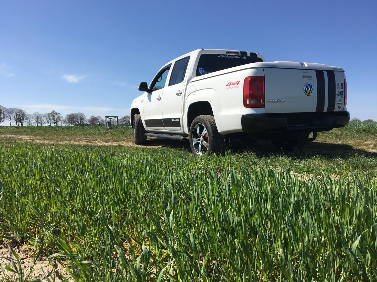 Weltraumfellechsenmann ~ tweet media