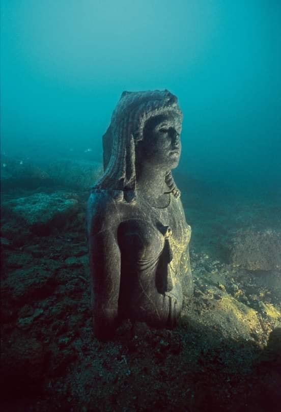 historydefined's tweet photo. A statue probably representing the Ptolemaic Queen Cleopatra III, 142-101 BCE, in the sunken city of Thonis, Heracleion. https://t.co/5m4gowqc1P