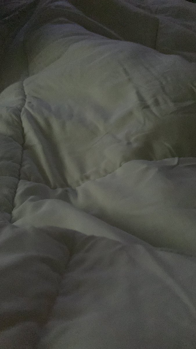 KittensDesire's tweet photo. Laying here in my pure white bed thinking very #impurethoughts of you https://t.co/L6N1IrwWbB
