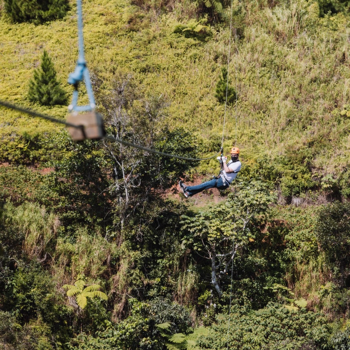 Feel the adrenaline at <a href="/toroadventures/">Toroverde Adventure Park</a>.😎 Located in the mountainous town of Orocovis, this ecological adventure park offers an array of unforgettable attractions that will have your heart pumping with excitement.❤️🇵🇷 #EarthMonth #DiscoverPuertoRico fal.cn/3o1AV