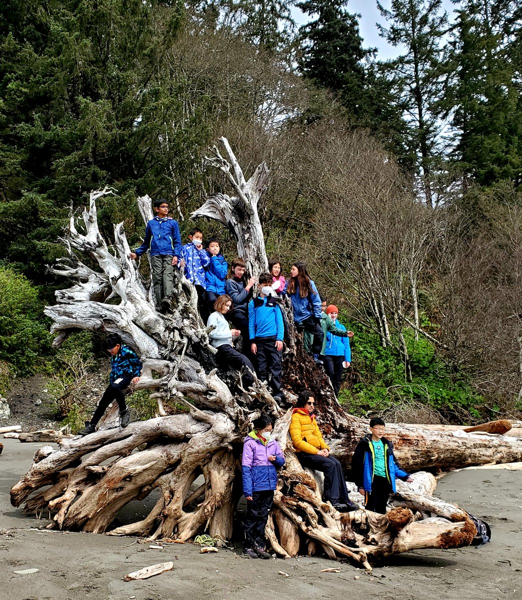 EastsidePrep's tweet photo. Our students have returned from their Education Beyond the Classroom (EBC) week of experiential learning. Our 6th grade students spent their week at NatureBridge in Olympic National Park, where got to engage in hands-on environmental science projects. #EastsidePrep https://t.co/loMPaD7Vn6