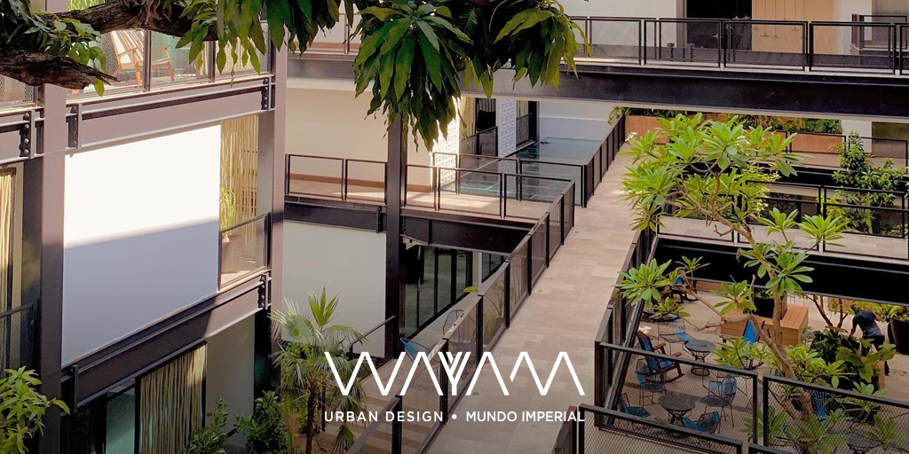 Grandes árboles frondosos bajo el cielo azul.
#WayamMundoImperial #LeaveAPositiveTrace