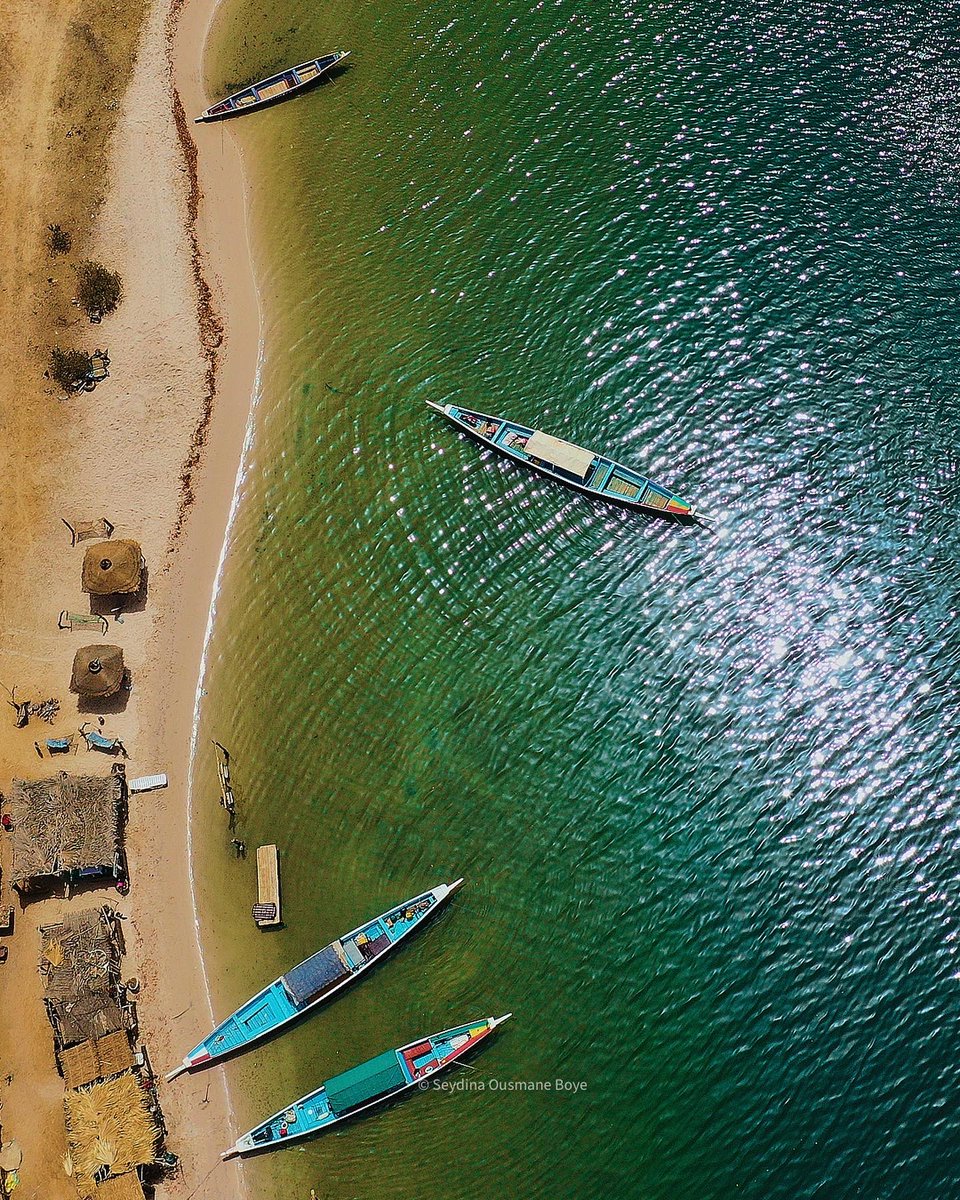 SeydinaOusBoye's tweet photo. Mar Lodj est un paradis tranquille où il fait bon vivre. L'île compte environ 5 000 habitants, qui vivent essentiellement de la pêche (la zone est l'une des meilleures du Sénégal), de l'élevage et d'un peu de culture. 

#senegalphotography  #senegal #africa #travelphotography https://t.co/lZOjMF57LC