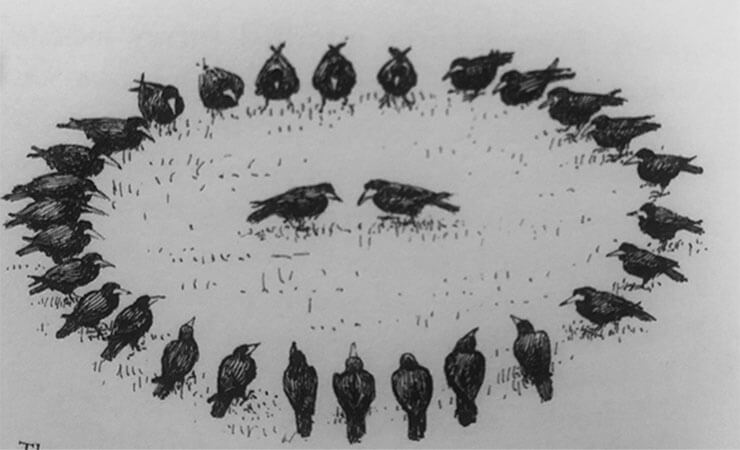 Folklore of Birds on Twitter: