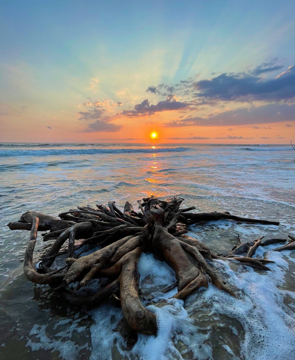 _nadeane_'s tweet photo. Nature is itβs own continuous live beautiful painting #ocean #avellanas #guanacaste #CostaRica #mostbeautifulsunset #surfbeach https://t.co/HrAM6q5kdf