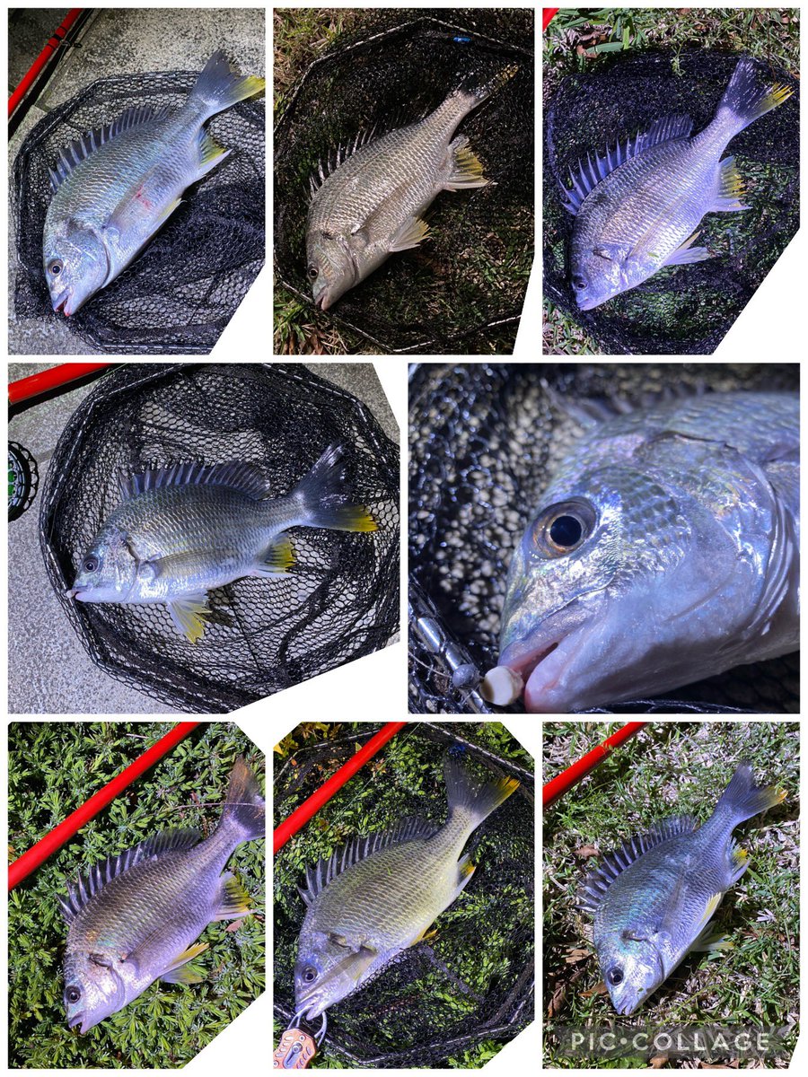 hechiesauo3) / Posts / X