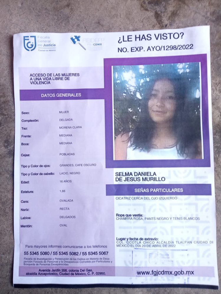 Alma Castellanos tweet media