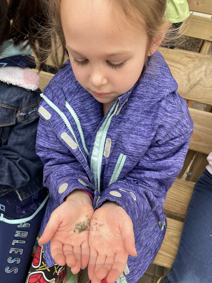 Mrs. Luse (Miss Orbaugh) tweet media