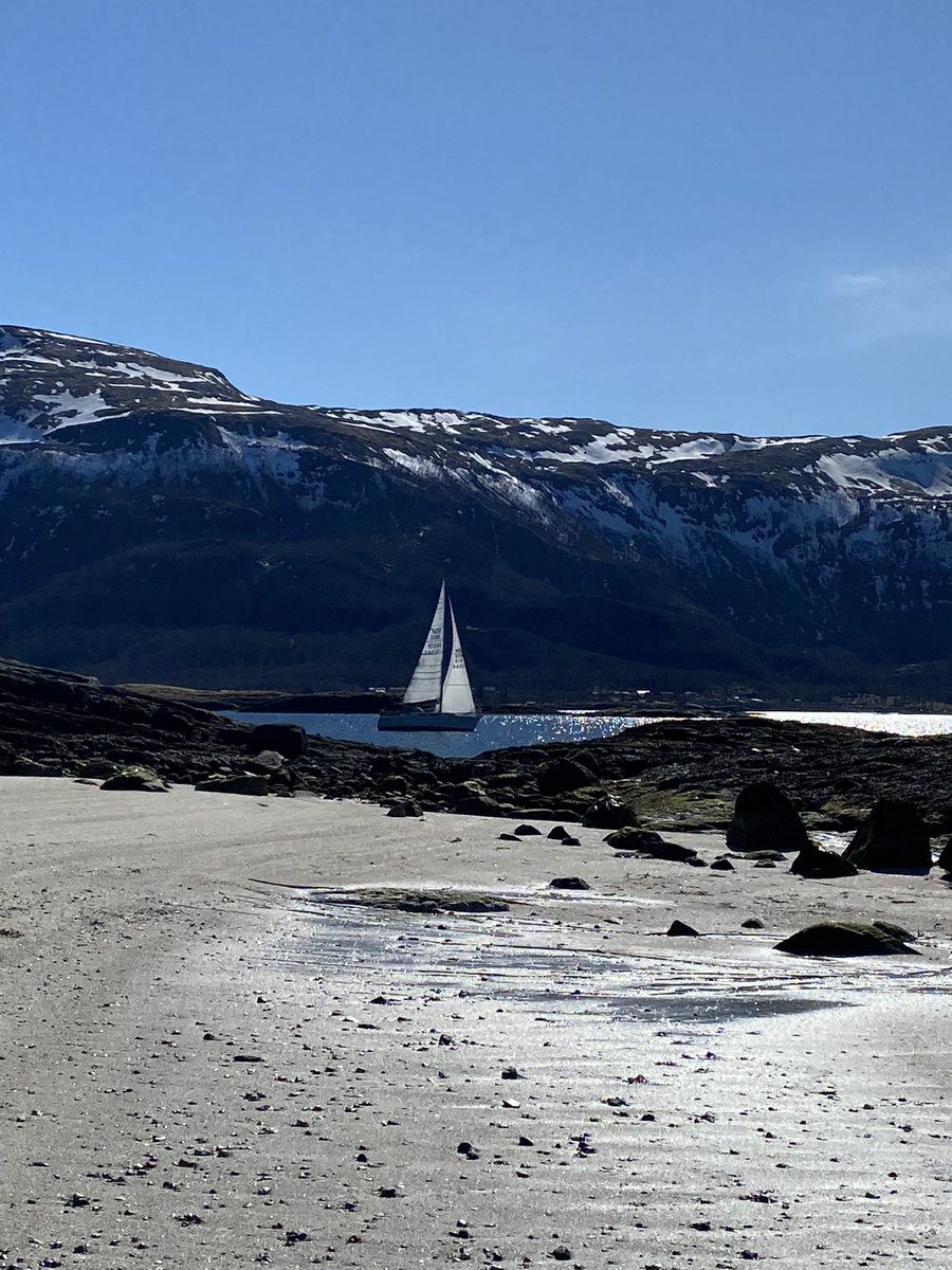 pedtri's tweet photo. En liten smak av sommer i Bodø i dag.#Bodø #smakavsommer https://t.co/gIu1weamS2