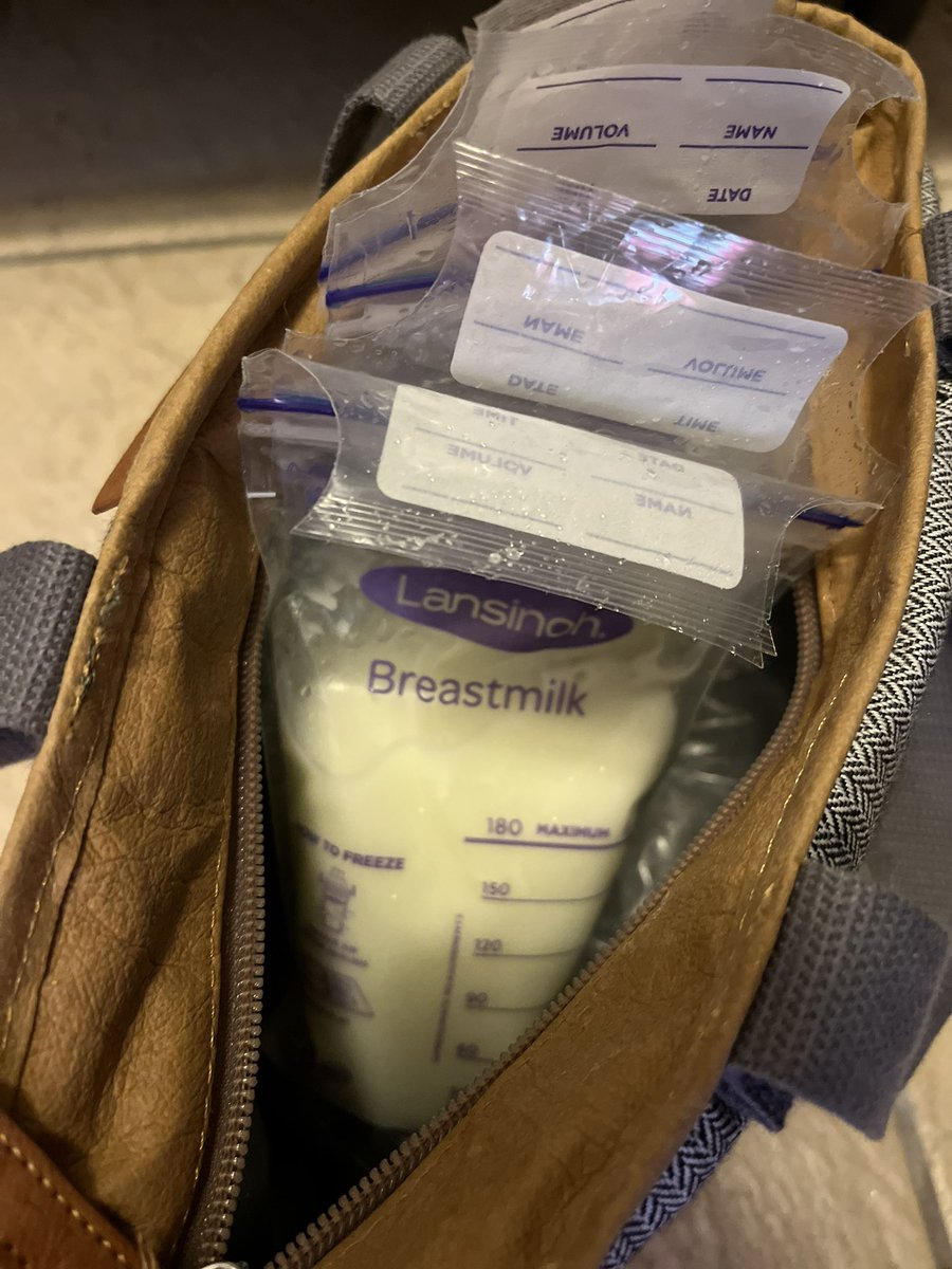 DrLucyMarcil's tweet photo. The #ChildTaxCredit increases #healthequity. So does #breastmilk. Ironically, it takes money &amp; time to pump &amp; nurse. We need better policies to support all #moms. Glad @PASMeeting supports pumping so I can bring home nutritious food for my daughter; @elvie stride has been key! https://t.co/HfQQv408Zs