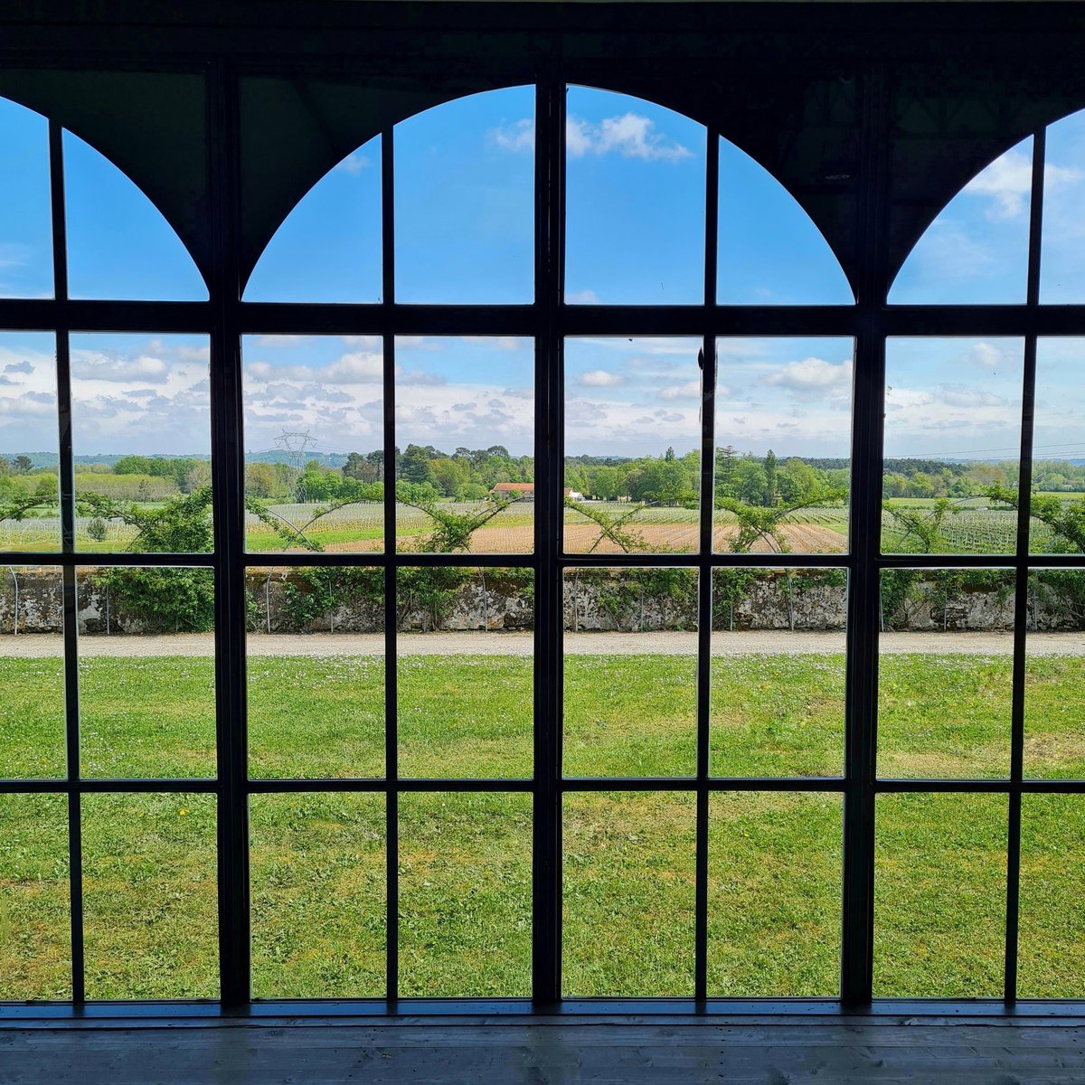 LatourMartillac's tweet photo. 🇨🇵 Semaine des Primeurs : J-2 !
🇬🇧 Two days to go before the En Primeur Week!
#enprimeur #Bordeaux #wine #primeur #vin #bordeauxwine #pessacleognan #enprimeurweek https://t.co/u6H4XzVNw4