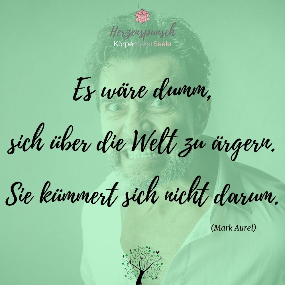 herzenspunsch's tweet photo. "Es wäre dumm, sich über die Welt zu ärgern. Sie kümmert sich nicht darum." – Mark Aurel
#zitate #zitatdestages #markaurel
https://t.co/4fBk2cCu5R https://t.co/ODW58M2lOg
