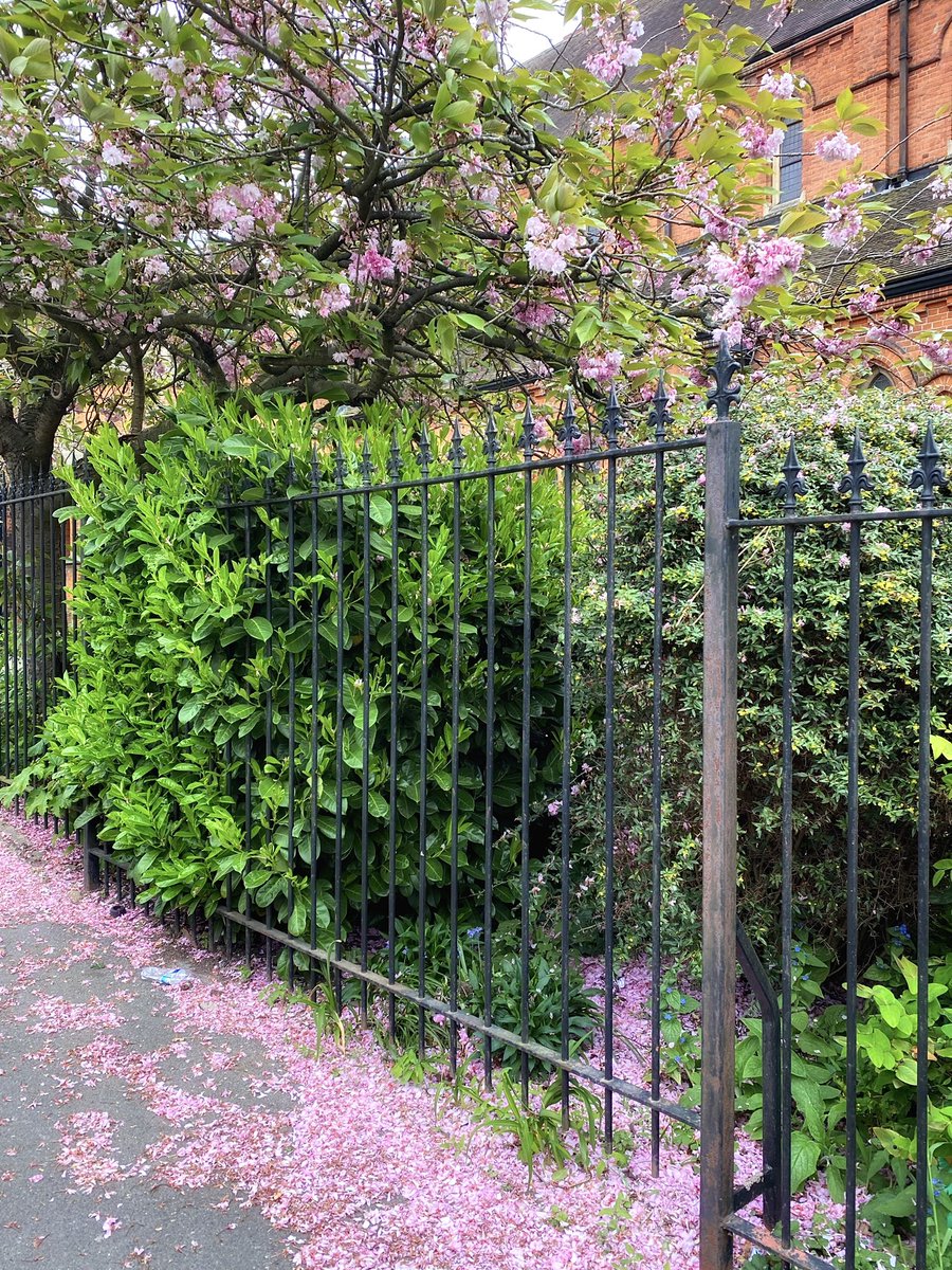 on the way.. today's London 🌸
⠀
#London #positivity #PositiveVibes #SaturdayVibes #SaturdayMotivation #SaturdayMood #lifestyle #uklife #StreetArt #beautiful