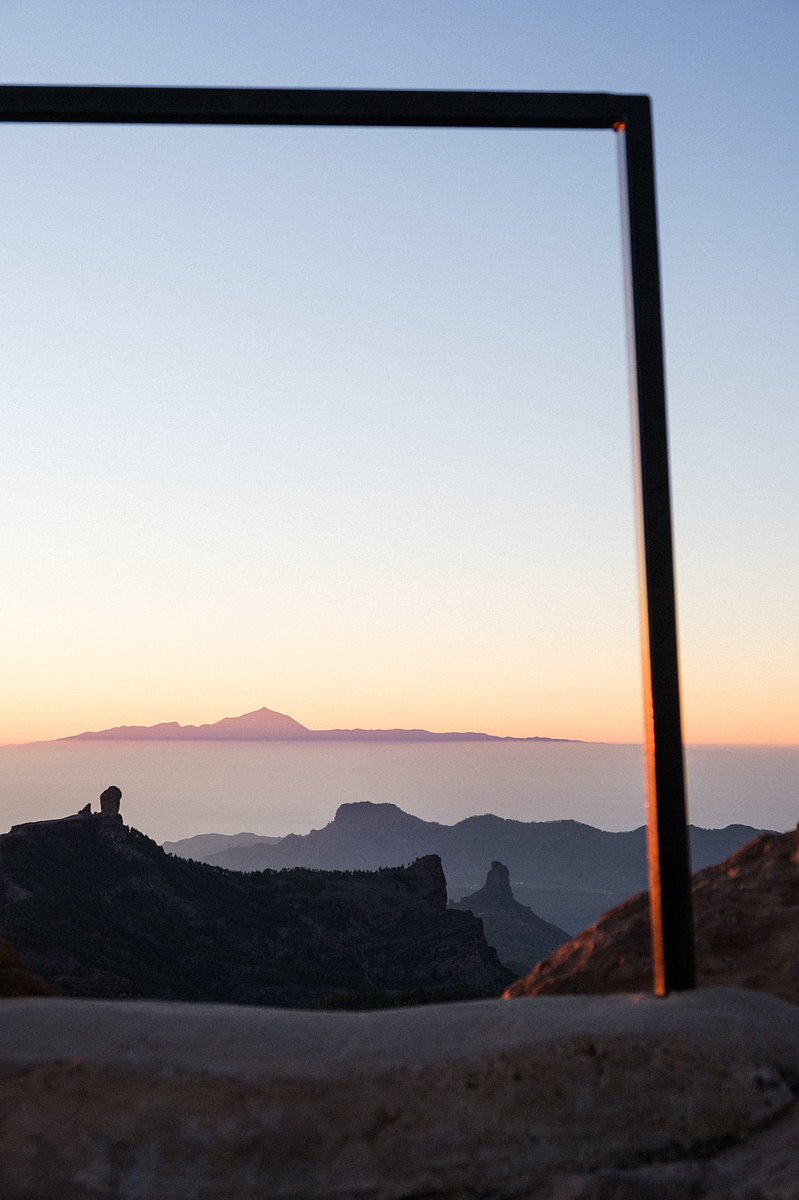 Pinkrnell tweet media