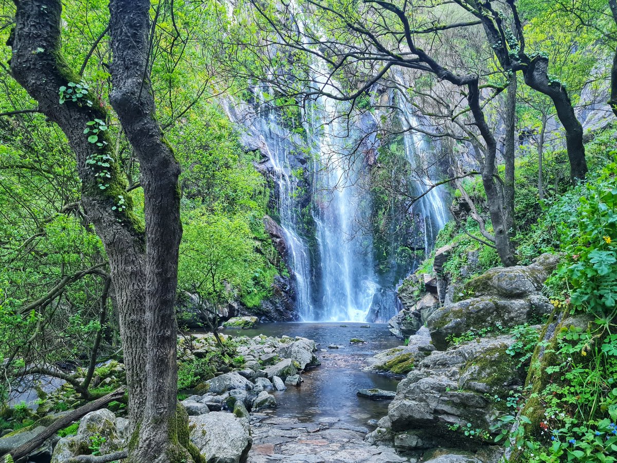 turisriasbaixas's tweet photo. Esta é a impresionante fervenza do río #Toxa, no @ConcelloSilleda. Cantas coñeces das moitas que salpican o interior de #PontevedraProvincia??
#LoveRíasBaixas #RíasBaixas #natureza https://t.co/fBK4WbZ56I