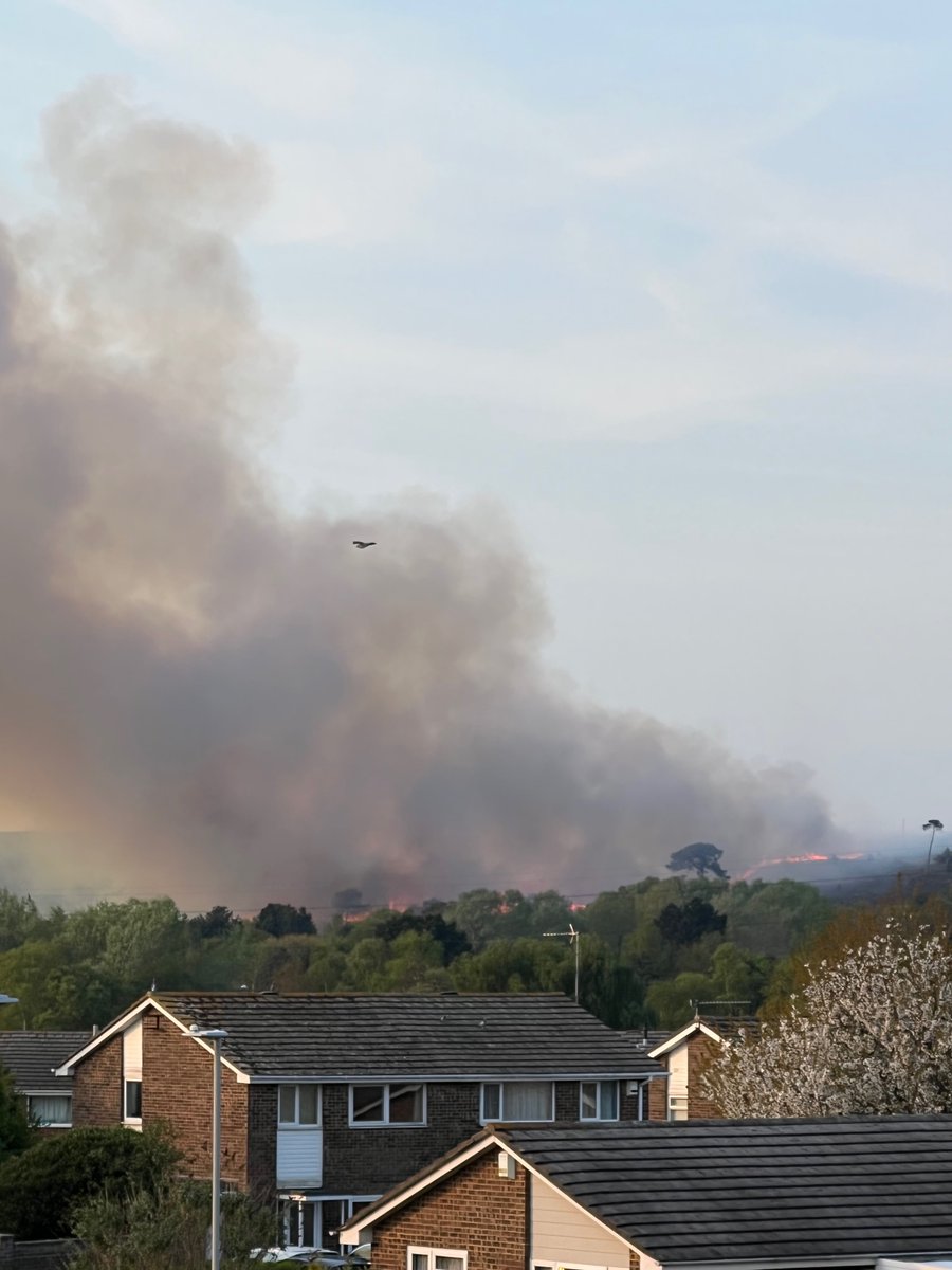 Bournemouthecho's tweet photo. BREAKING: A heath fire has taken hold at Canford Heath in Poole. Live updates here as fire crews battle to get it under control (images from Alex Saxby and our very own @EchoSportJack) https://t.co/5t2Cm2U5Td https://t.co/Y14aocJE7W