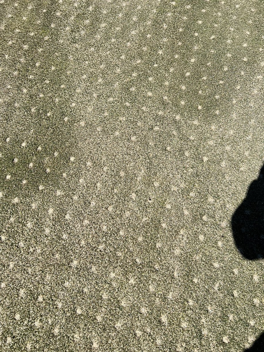 Spring aeration week is in the books. Big week consisting of a deep tine and core on greens, verticut and core on fairways and a core on tees #roadtorecovery