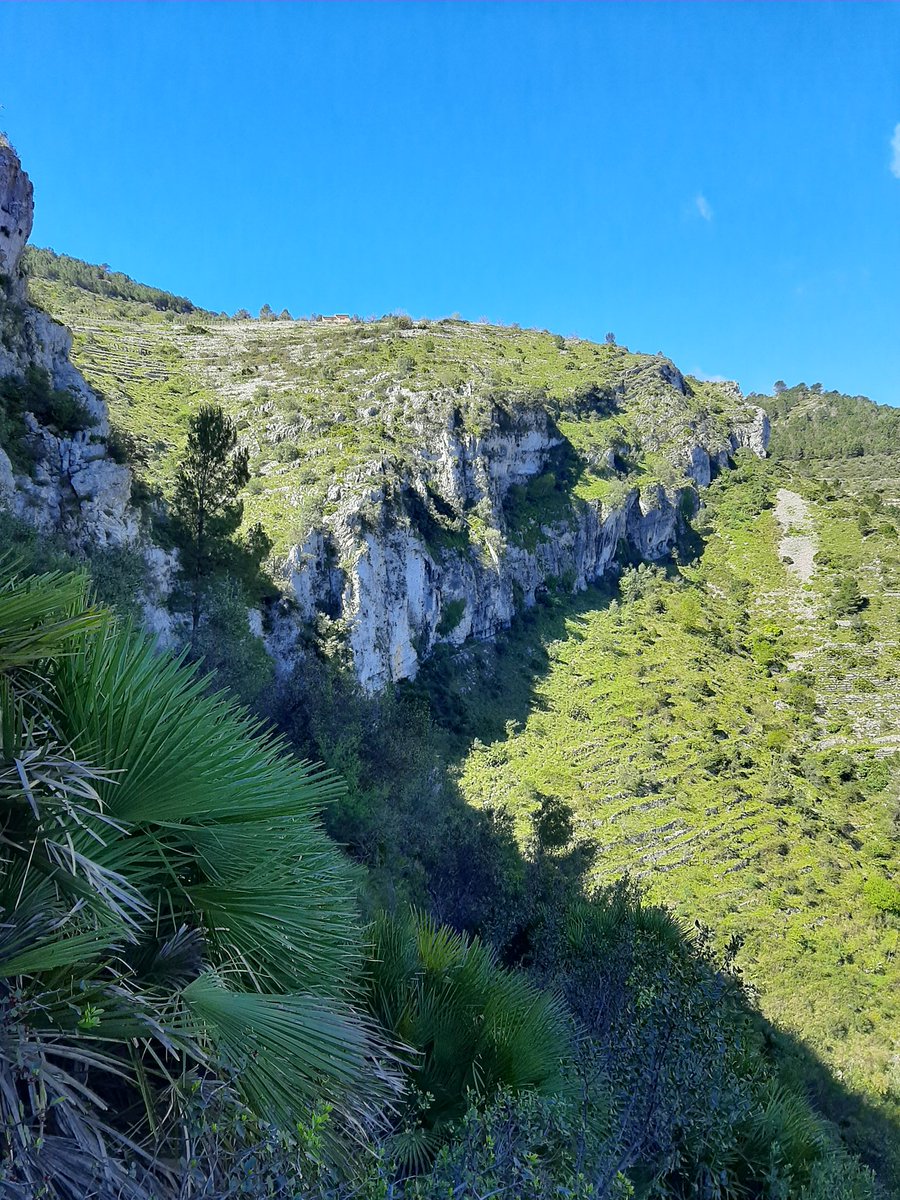 Jorge Payá⚖️🕊️ tweet media