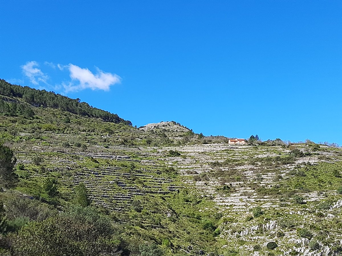 Jorge Payá⚖️🕊️ tweet media