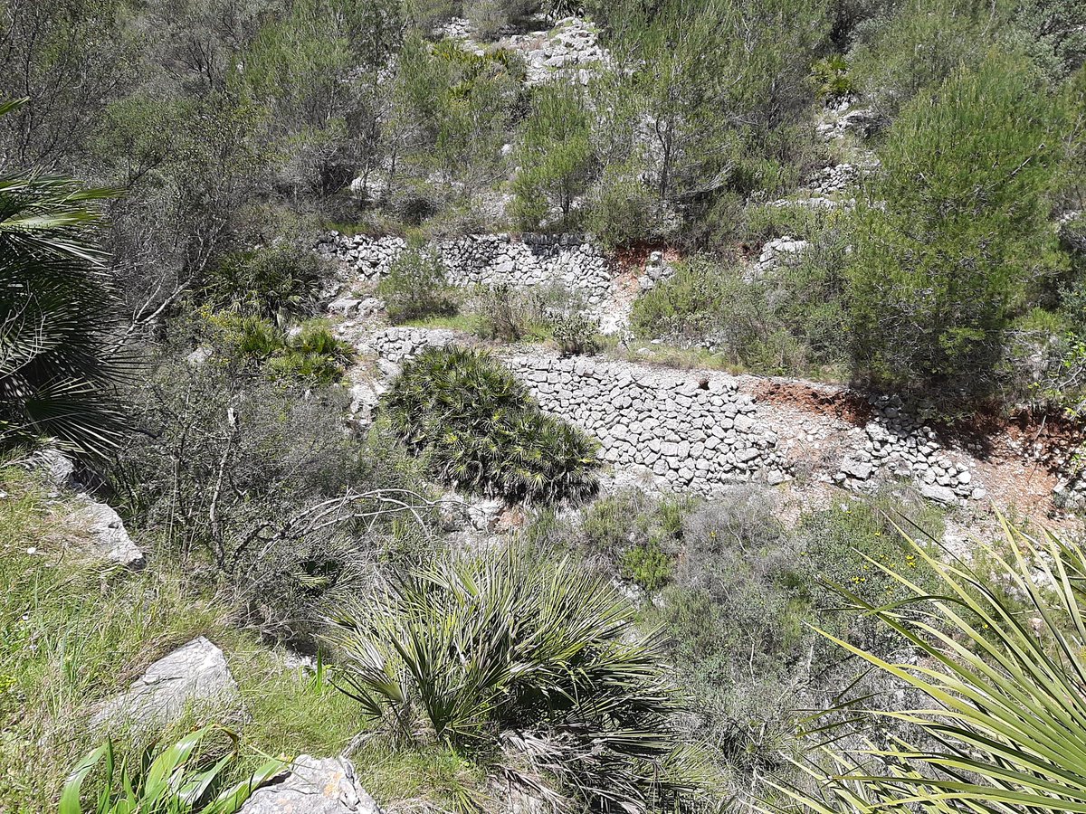 Jorge Payá⚖️🕊️ tweet media
