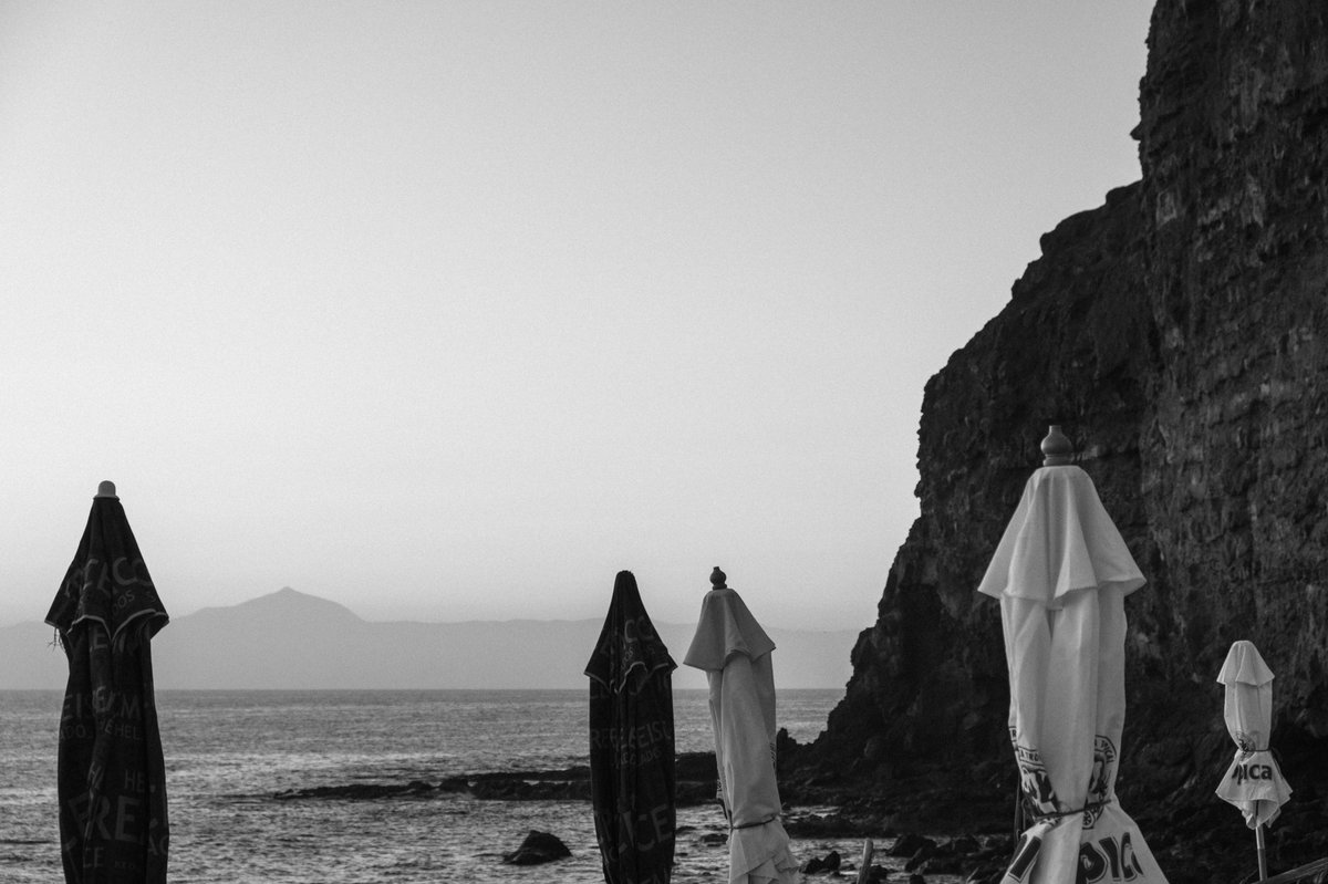 Pinkrnell tweet media