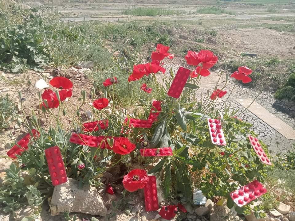WaterkeepersIQ's tweet photo. See how hard it has become to tell the difference between the pills and the red flowers the pills that was dumbed there in tanjaroo how unconcerned we have become with our actions how we as humans became the devastation of our world how we just do what ever is more comfortable. https://t.co/Zs7RiE9HEm