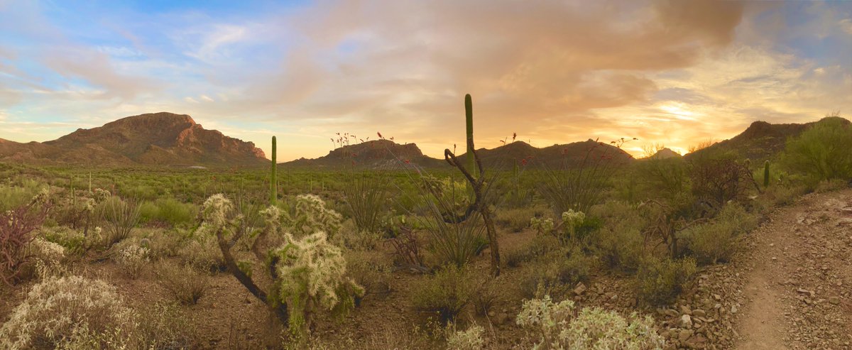 R Keating Godfrey tweet media