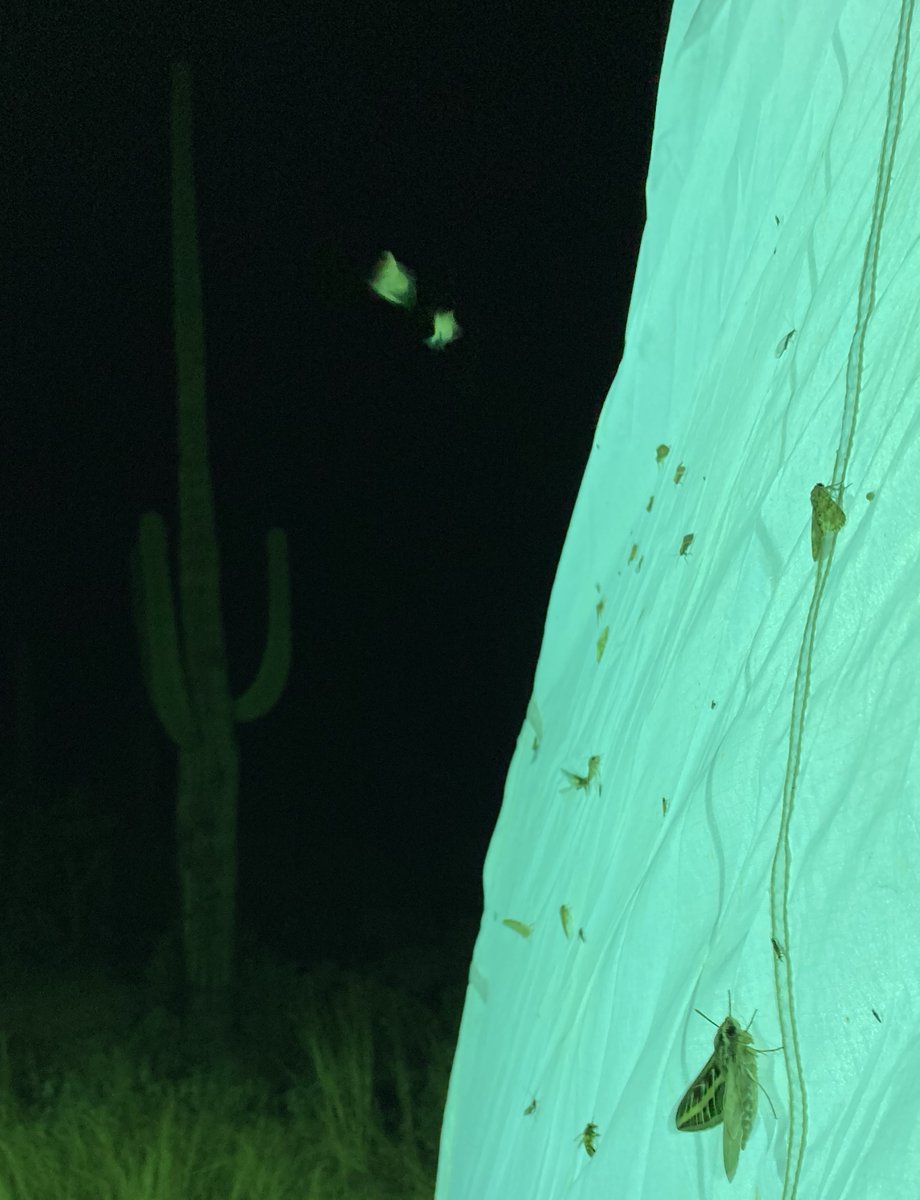 R Keating Godfrey (@keating_godfrey) on Twitter photo 