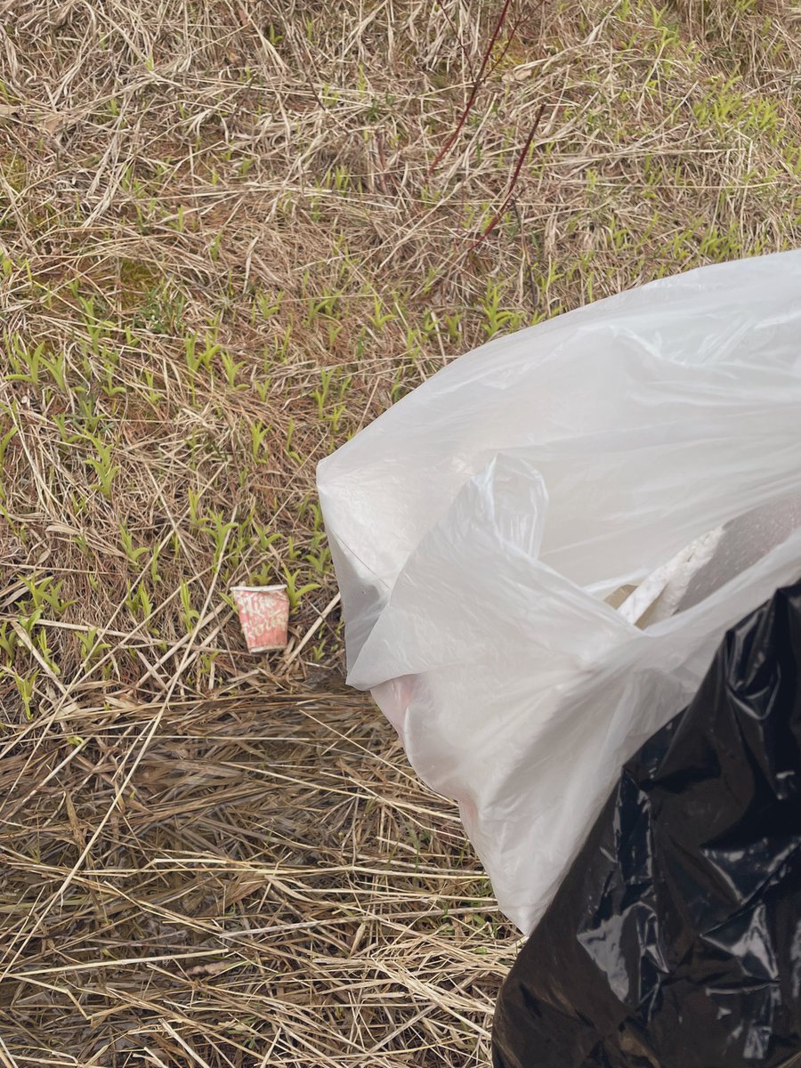 MarissaBurley1's tweet photo. We did a 2km stretch around the block today… two bags later our ditches look great! #trashbash #keepourearthclean https://t.co/bG5rCqoZkU