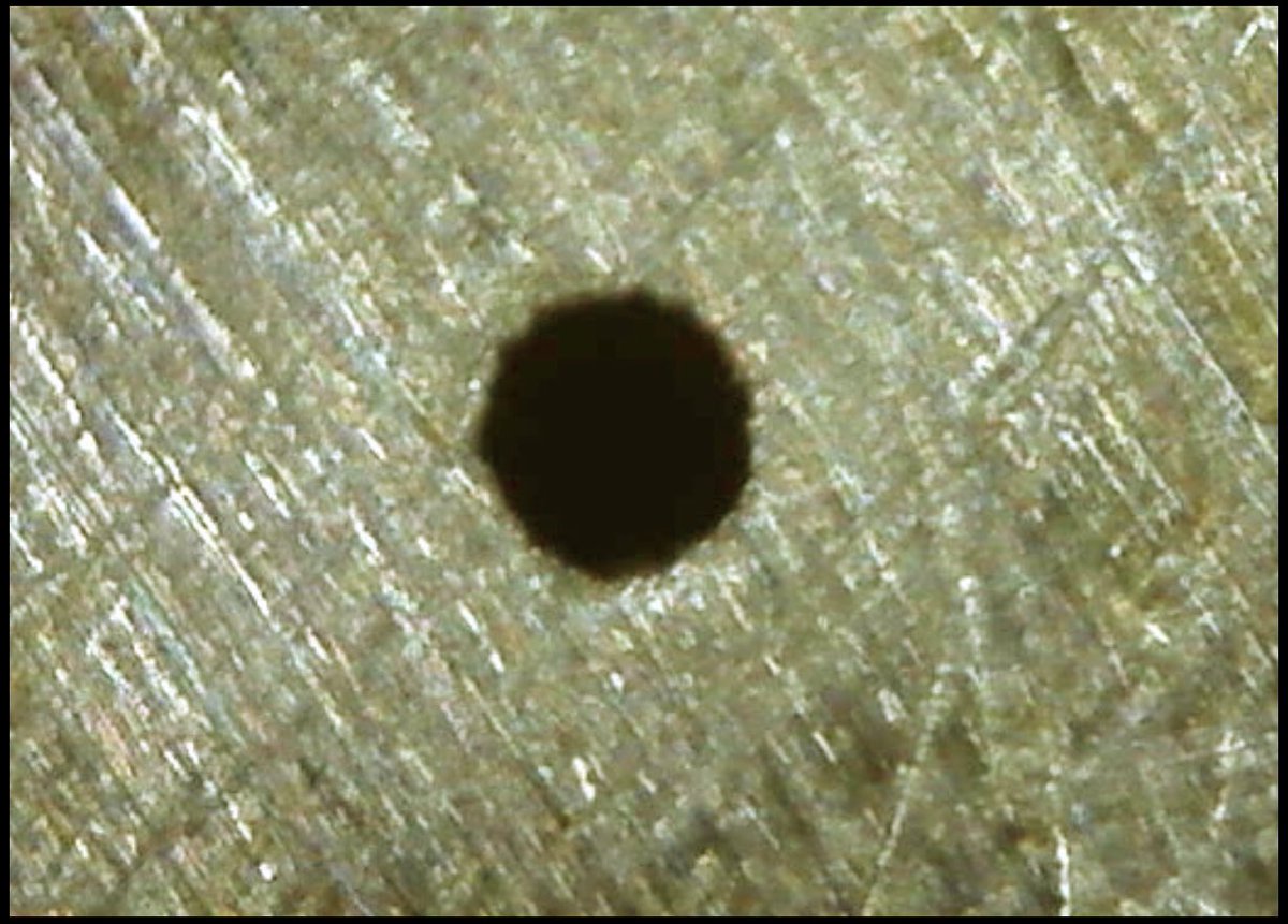 Hear, hear! Pinhole Day is here! Once the clock strikes midnight in your time zone, you have the hole day to make pinhole photographs. #pinhole #pinholephotography #lensless #pinholeday