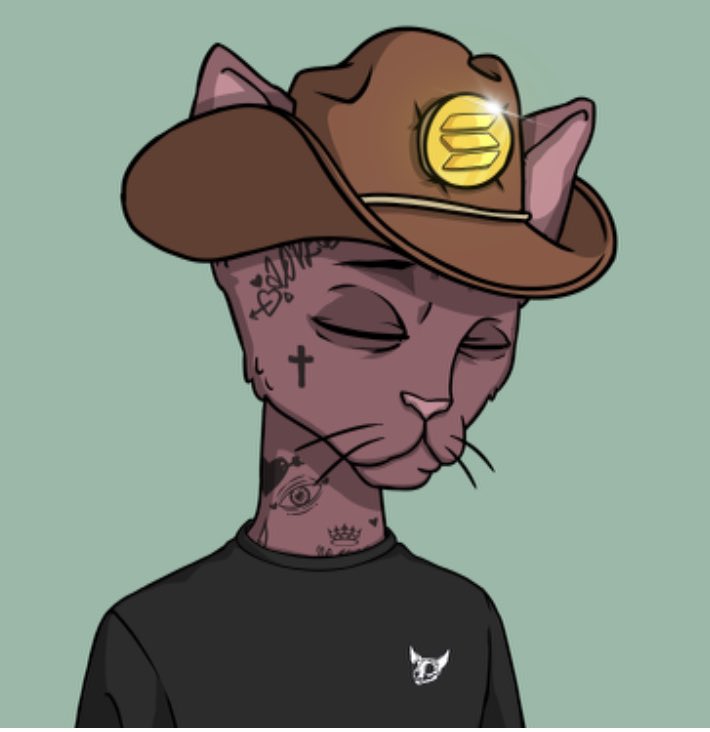 ghost93_x's tweet image. I like getting free stuff. @CetsOnCreck nailed it. This is the way to attract the #eth crowd fam, this is the language we speak. Price appreciation &amp;gt; passive income. Cets doing it right, the future blueprint of sol, cets krek kek kek