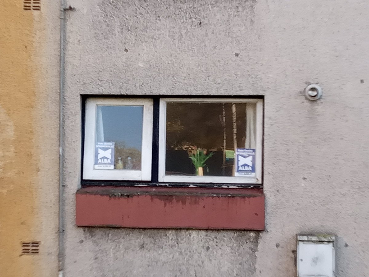 IndyDenise26's tweet photo. A busy few days responding to requests for window posters. Utterly overwhelmed by the support shown to my campaign. Thank you 🏴
A vote for me on the 5th May is a vote for US - Our community. Our Children. Our future.
#LocalLass #LocalIssues #LocalCouncil #TeamSommerville #Alba1 https://t.co/DRnsUJ3yuJ
