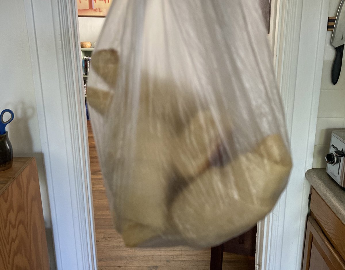 annaesss's tweet photo. Secured the bag (of croissants) https://t.co/lVoZ3KFwn7