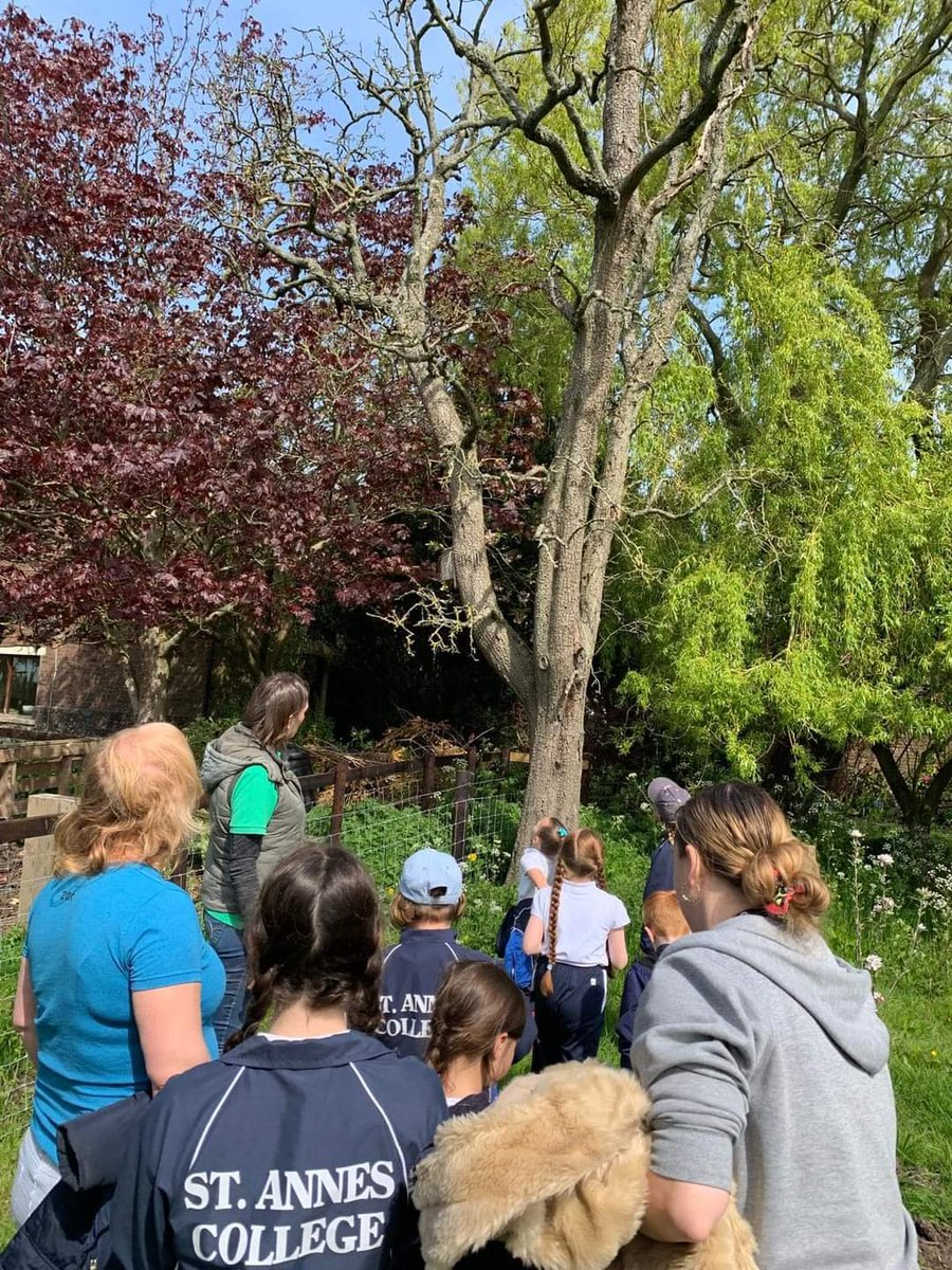 From the confidence of opening our farm to the GP we have now taken it a step further and as part of out CS agreement offer Educational Access, so far this year we have had 13 school visits, with more to follow. This has been a great addition to our farm income and rewarding too!