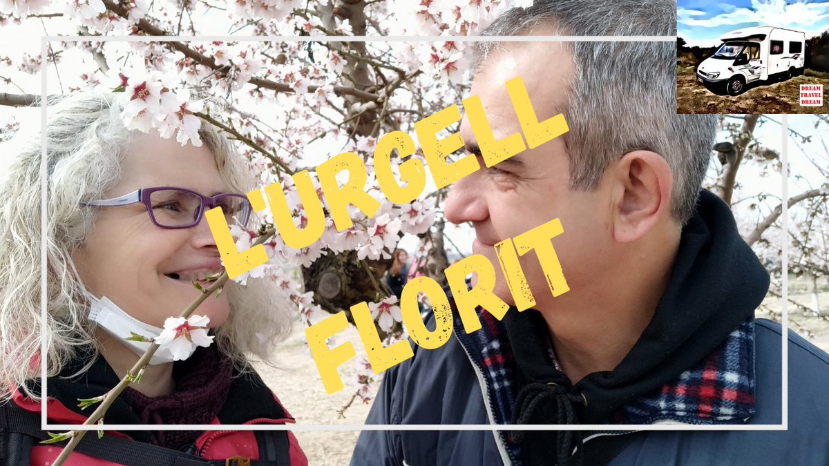 Dreamtraveldrea's tweet photo. Ametllers florits, sepulcres renaixentistes i capvespres que enamoren. Qui s'apunta???
@mantincelcatala
@BellpuigAj
@Ajbellpuig
@bcnTB
#turismeurgell
#visitLleida
https://t.co/gINygnaHyU https://t.co/78HhVioQQr