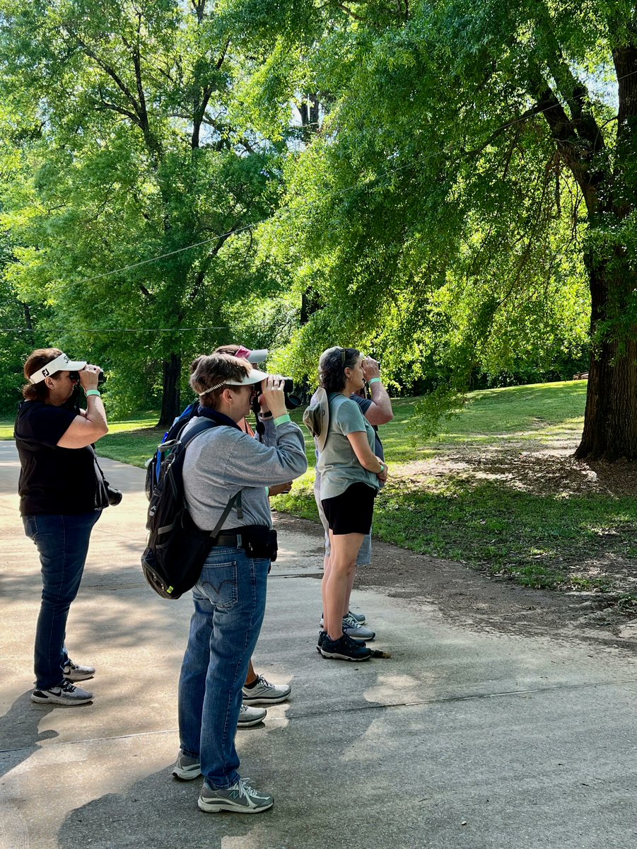 MoundvillePark's tweet photo. Thanks to everyone who visited @MoundvillePark today for #Birdfest! 🐦 It has been such a beautiful day ☀️ to be outside and we hope you enjoyed your bird walk with Dwight!
#UAMuseums #RollTide #Alabama #Moundville #Birdwatching #Birds https://t.co/SA5rHSd0tG