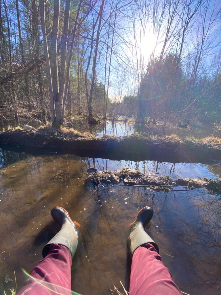 miishagoliin's tweet photo. Earth Day clean up 🌎🤍 #ncc #conservationtechnician #leavenotrace https://t.co/Y3BMmBpQIw