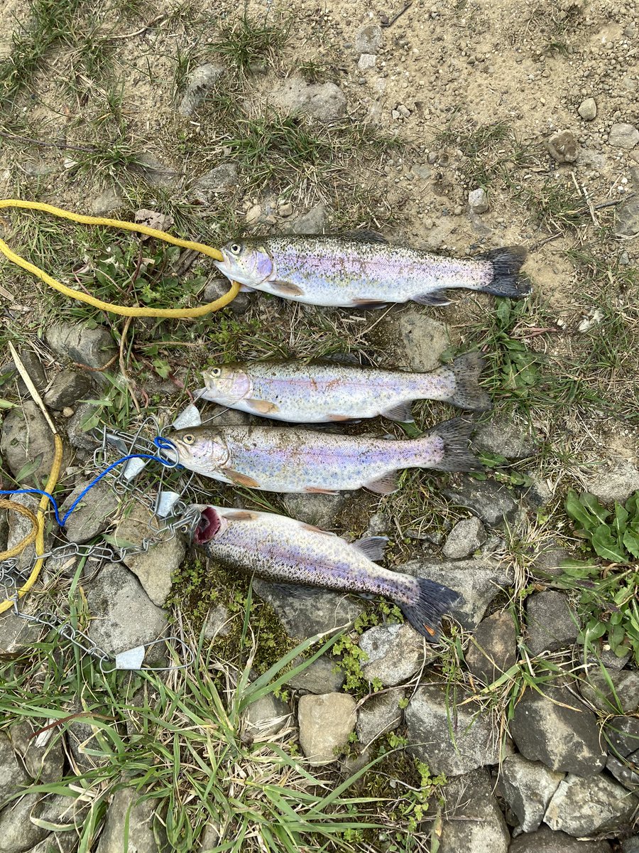 IfYouFollowMatt's tweet photo. Little #Saturday recap: #gym #fitness #workout did a #fullbody workout this morning, then grabbed myself my #Pennsylvania #fishing #license in preparation for guys  #fishcamp in #clarion county &amp; #ForestCounty western Pa! #trout #troutfishing https://t.co/tkTKRYbltw