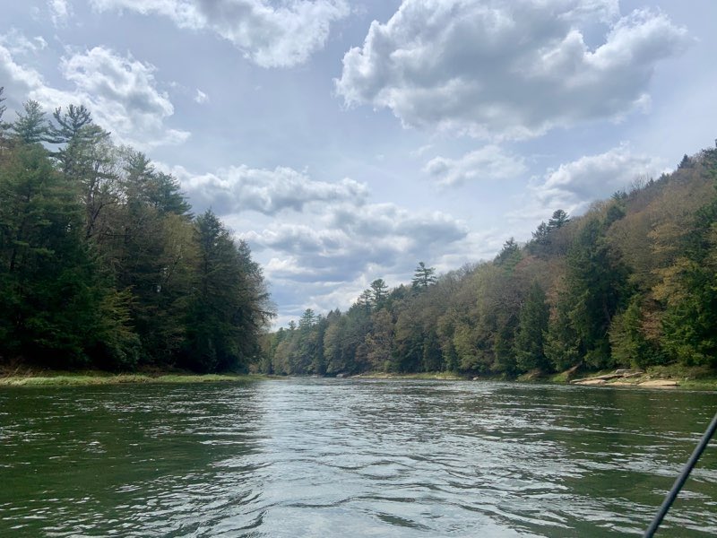 IfYouFollowMatt's tweet photo. Little #Saturday recap: #gym #fitness #workout did a #fullbody workout this morning, then grabbed myself my #Pennsylvania #fishing #license in preparation for guys  #fishcamp in #clarion county &amp; #ForestCounty western Pa! #trout #troutfishing https://t.co/tkTKRYbltw