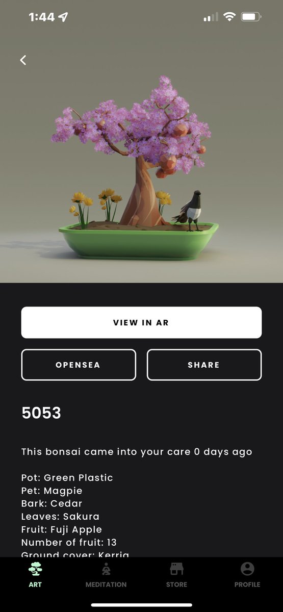 connoryk's tweet photo. I am not a “meditator”. Simply, too type ‘A’; however, this is an interesting NFT utility and I completed my my 1st round successfully. Purchase a Bonsai and use it to access Zen app/website to engage in mindfulness or buy from store. @zenft_ https://t.co/RwIeDePe2y