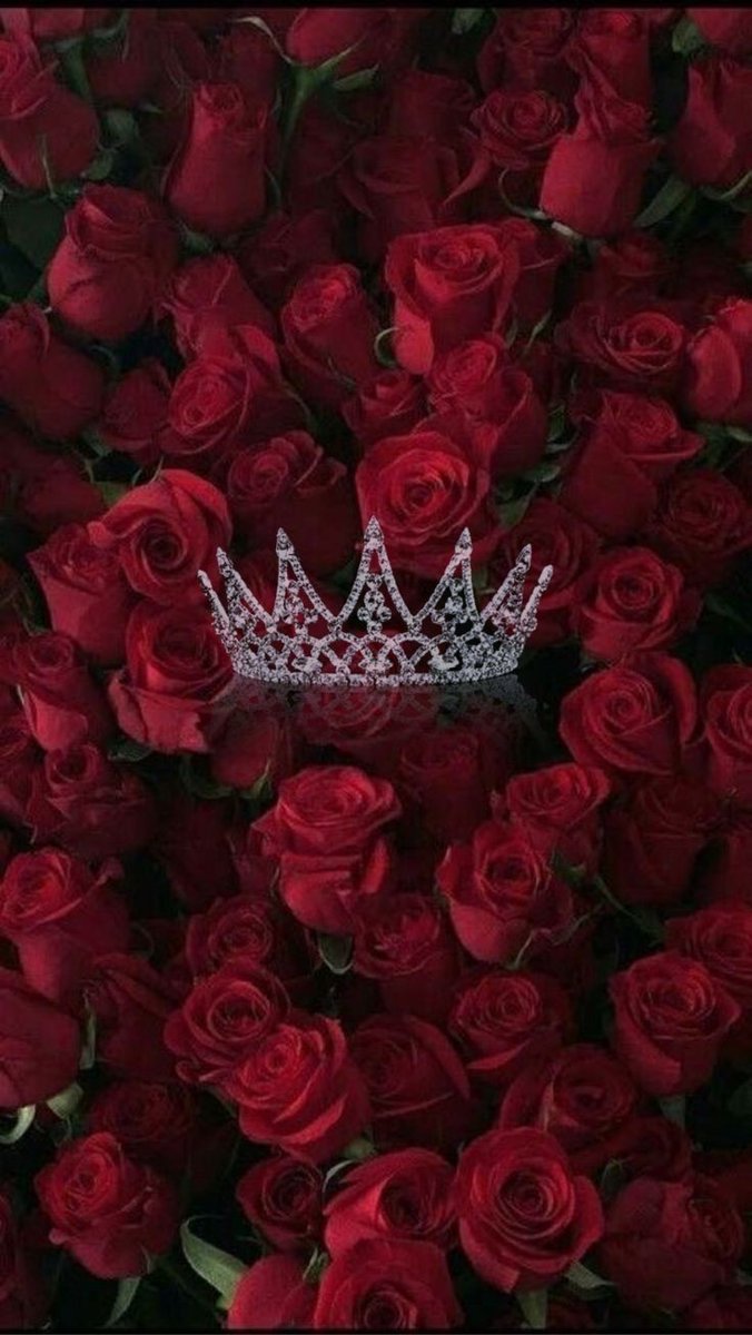 zqwi0 tweet picture