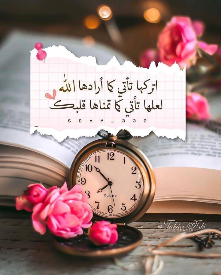 🦋أُمنية تبقى حلماً🦋 tweet media