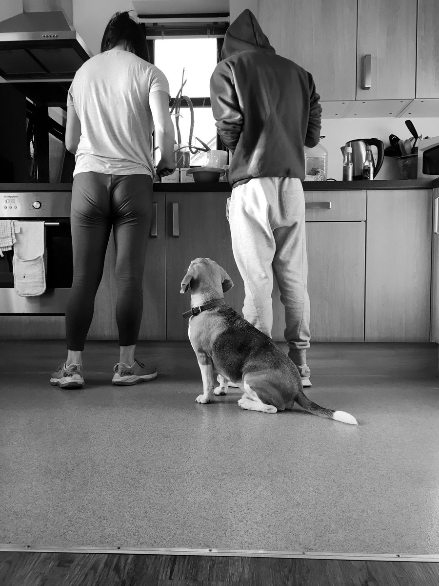 LRGSBoarding's tweet photo. It’s all happening at #franklandhouse this evening! #handmade jewellery and Fergus the Beagle is here all weekend!! #revisionseason #regularbreaks @LRGSLancaster https://t.co/r7AFCp3Nw9