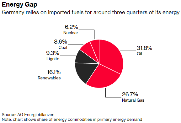 Gráfico con el desglose de las fuentes energéticas utilizadas por parte de Alemania durante 2021 para su consumo interno.