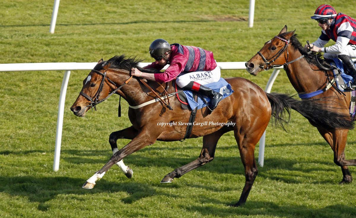 Steven_Cargill's tweet photo. 2nd win for 5yo m FLOWER OF THUNDER in 10f handicap @LeicesterRaces today for @DarleyEurope Night Of Thunder and trainer Christine Dunnett. https://t.co/j3mjNuOlA4