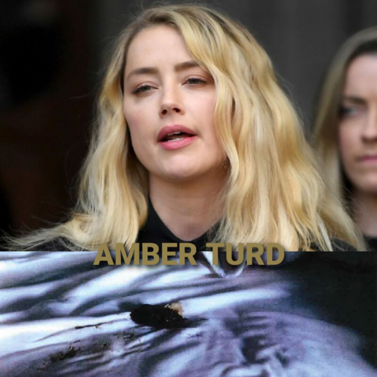 eggplanter777's tweet photo. @RealAmberHeard 
#AmberTurd 
#Turdgate
#ShitTheBed https://t.co/9lZTQZdhEz