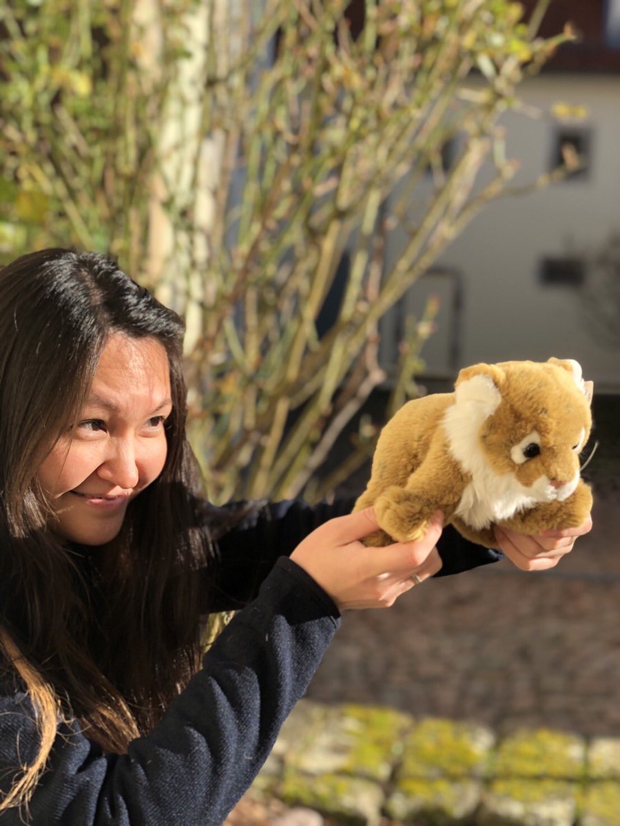 Melanie 🐯 tweet media