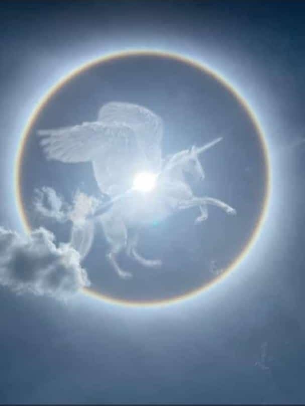 Wè mouche mou yo gentan mete desen pa ye 🦄🐎