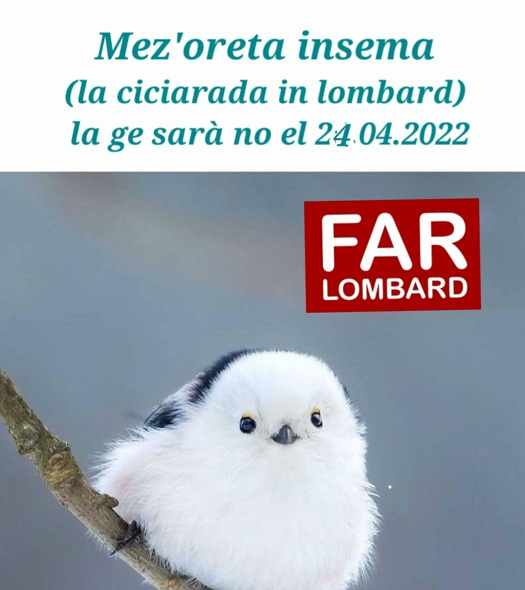 Simo24ORE's tweet image. 24 !