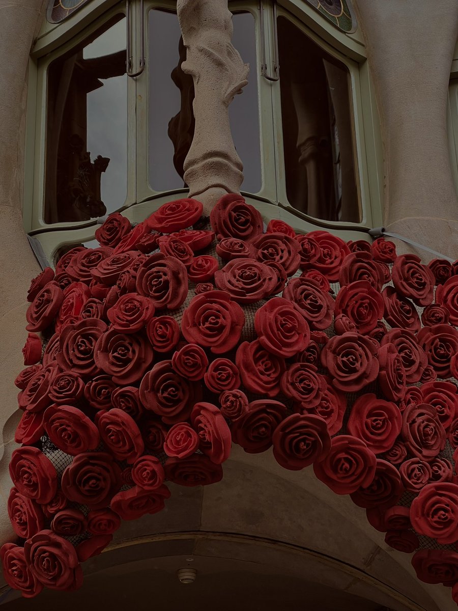 shesonmars's tweet photo. 🌹🐉📚❤️‍🩹 https://t.co/CTWiKGXa3K